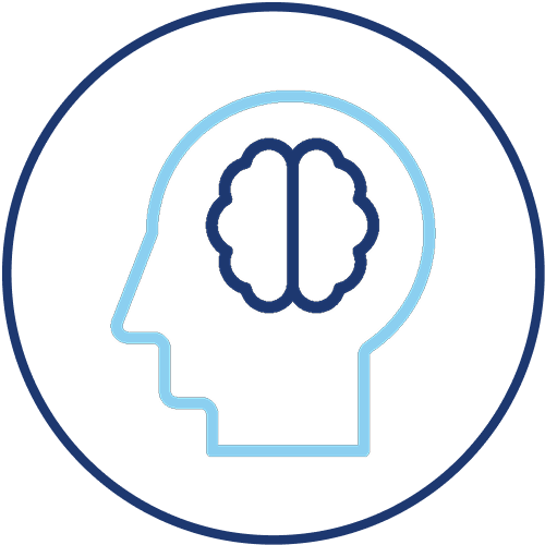CN Human Brain DTO